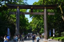 Wooden gate near Shibuya temple