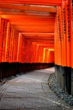 Torii corridor