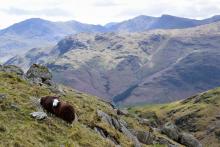 Bowfell