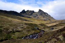 The Cobbler