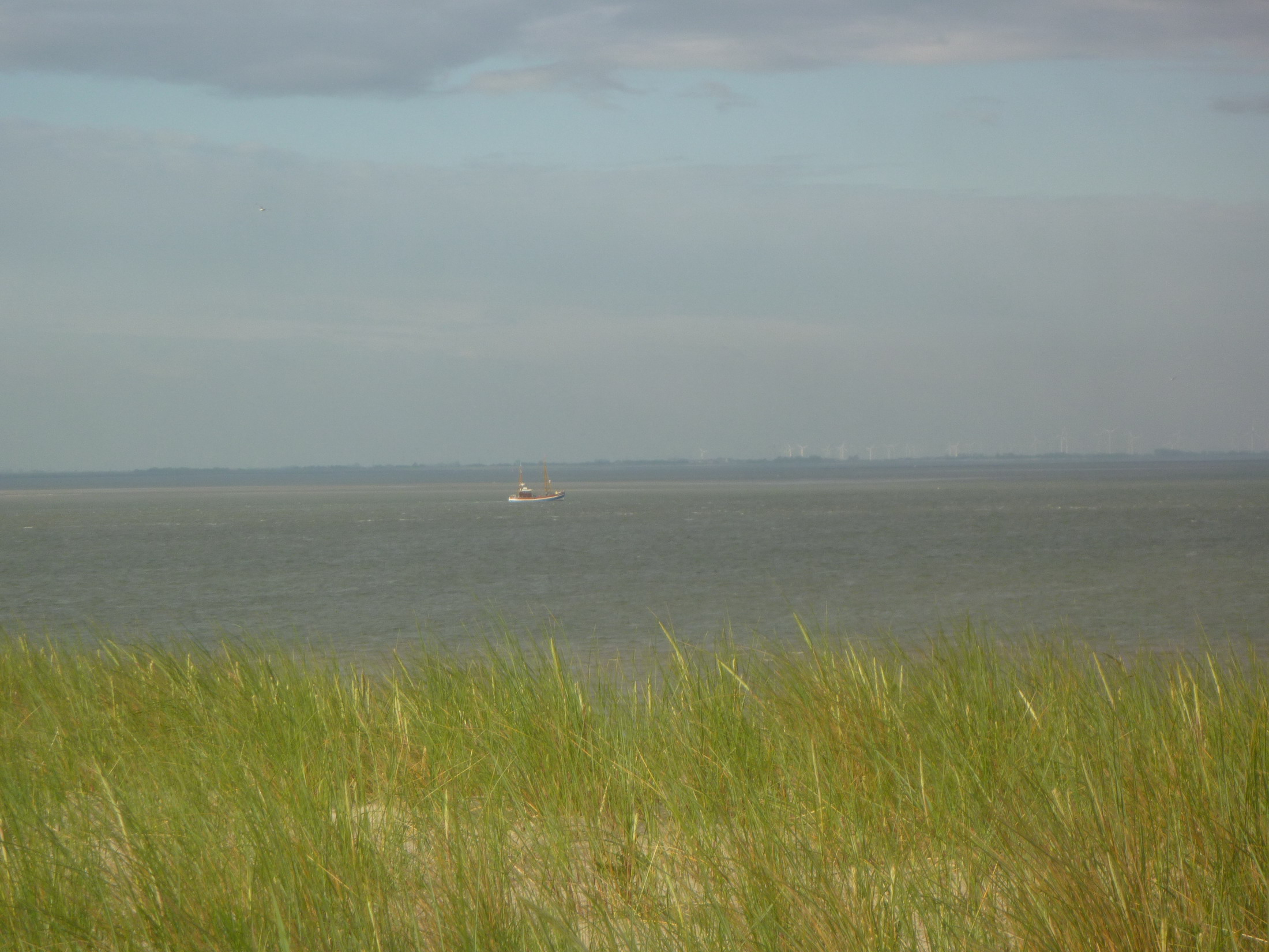 P1070358.JPG