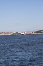 IMG_6363-01.jpg