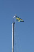 IMG_6333-01.jpg
