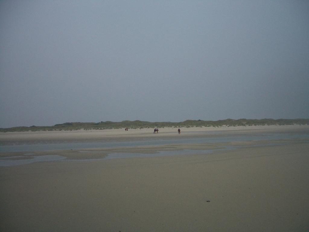 IMGP7417.JPG