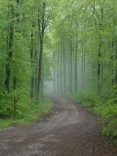 Harz-Radtour