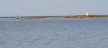IMG_7624.jpg
