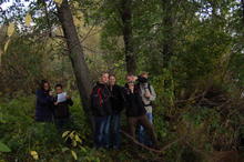 mehr leute im wald.JPG