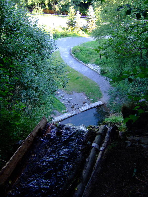 2008_07_27_(16-48-49)-Brockenwanderung_(Harz)