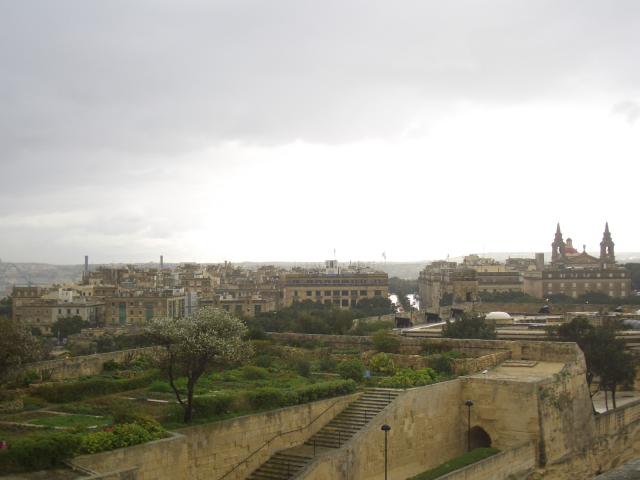 CIMG9991.JPG