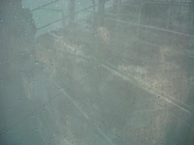 IMGP0316.JPG
