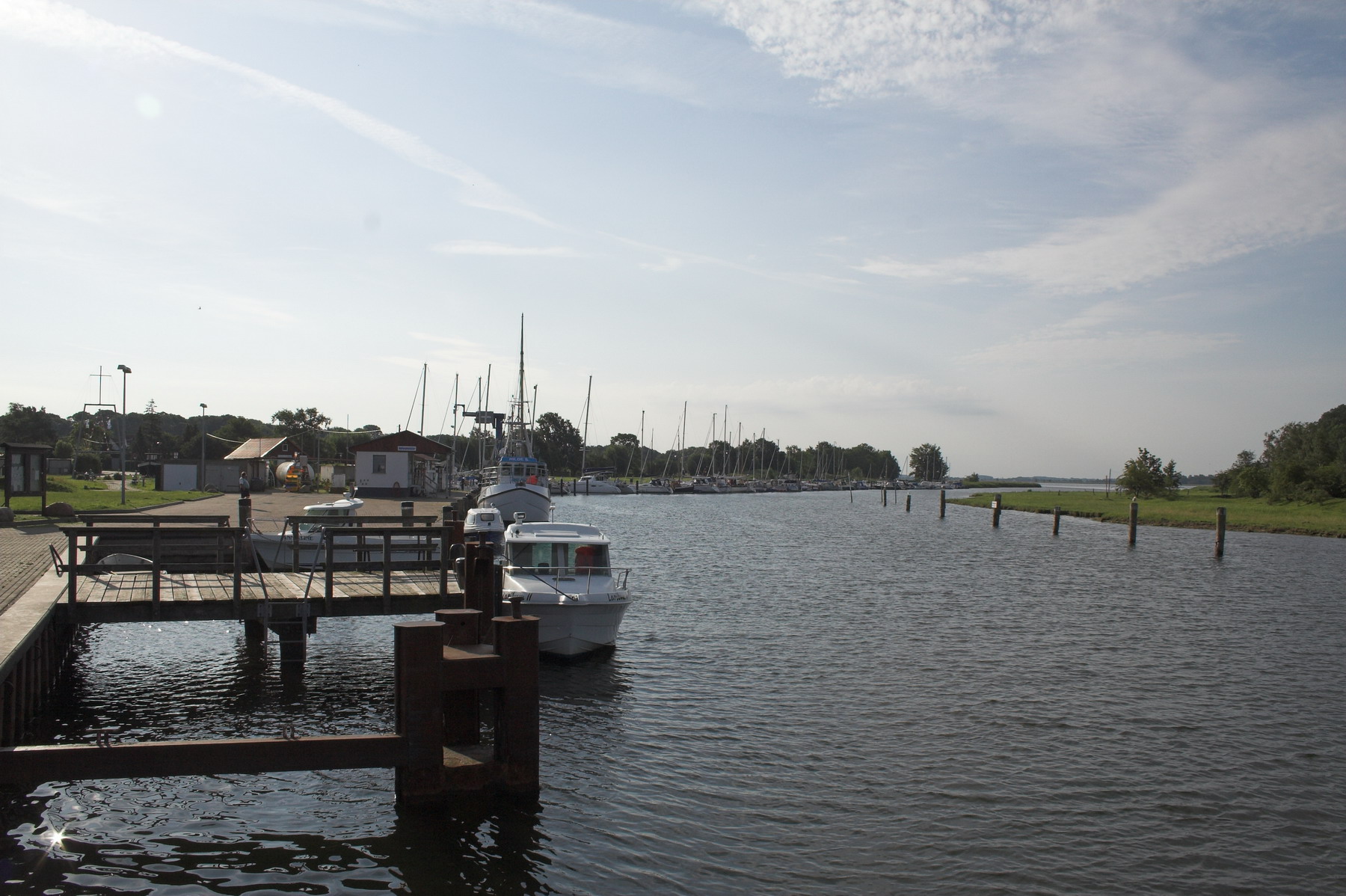 IMG_6762-01