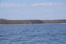 IMG_9766-01.jpg