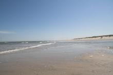 IMG_9979-01.jpg