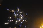 Silvester_2012_089.jpg